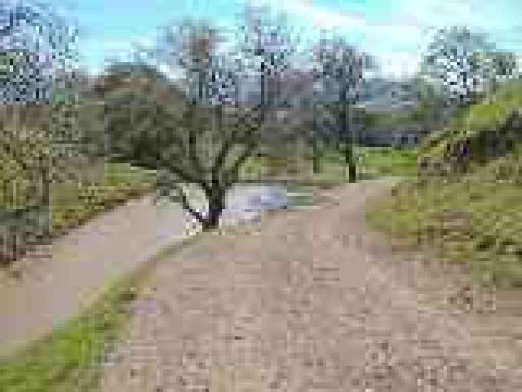 Looking back to a pond