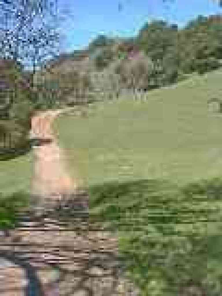 Around the hill