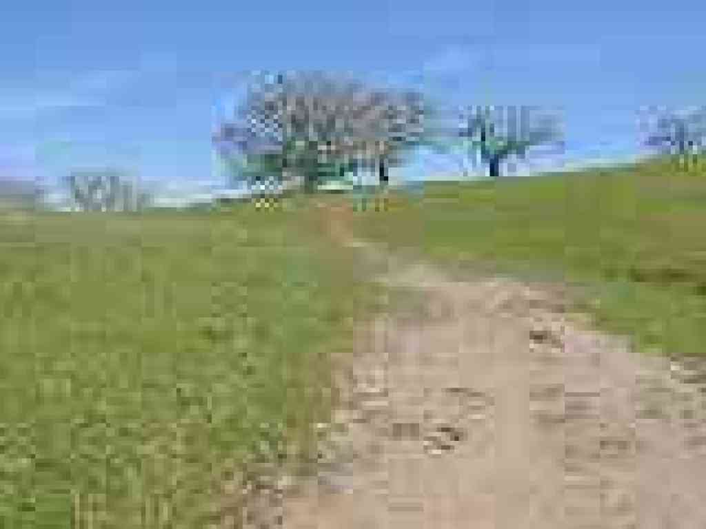 Near junction