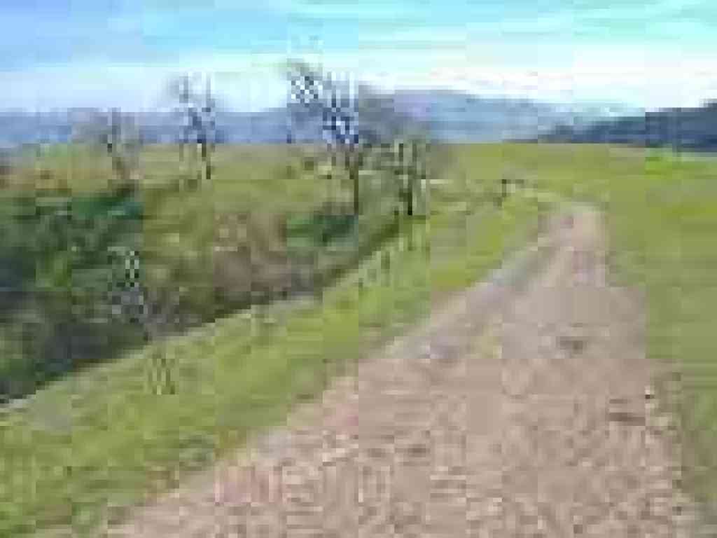 Ridgeline Trail