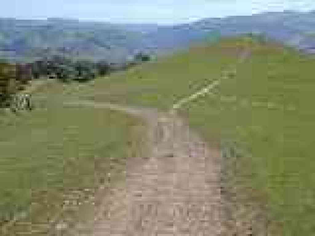 Split with side trail