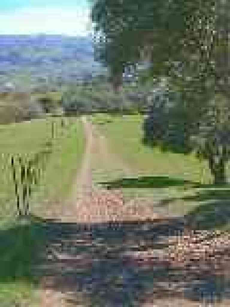Downhill