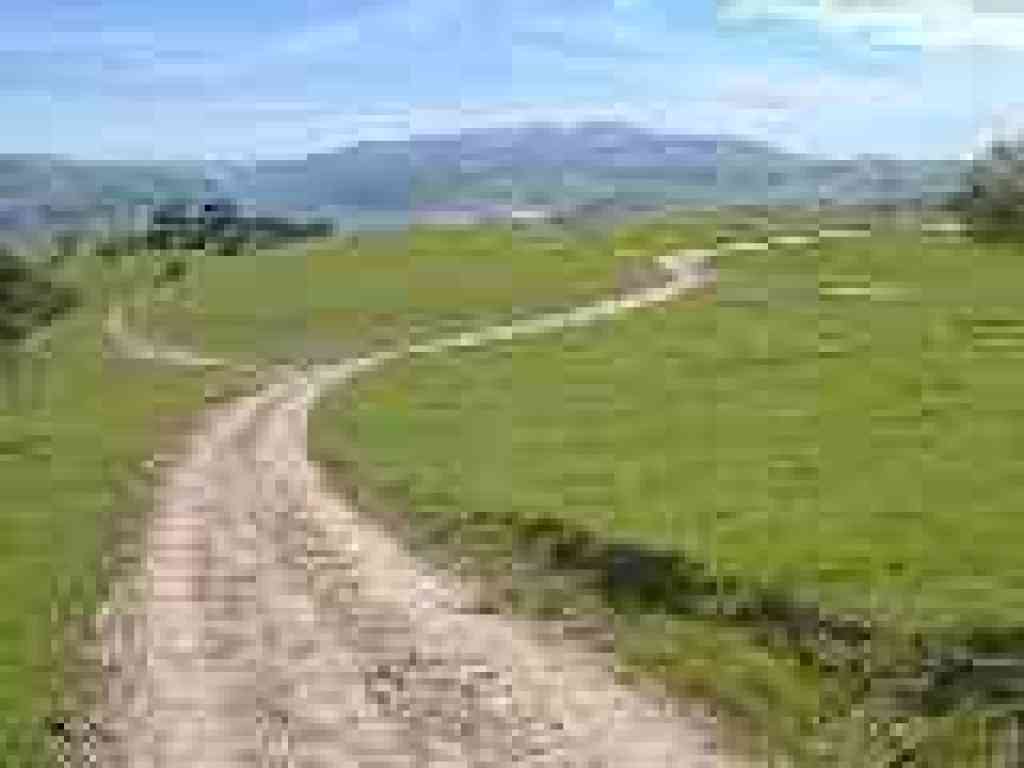 Side trails score grassland