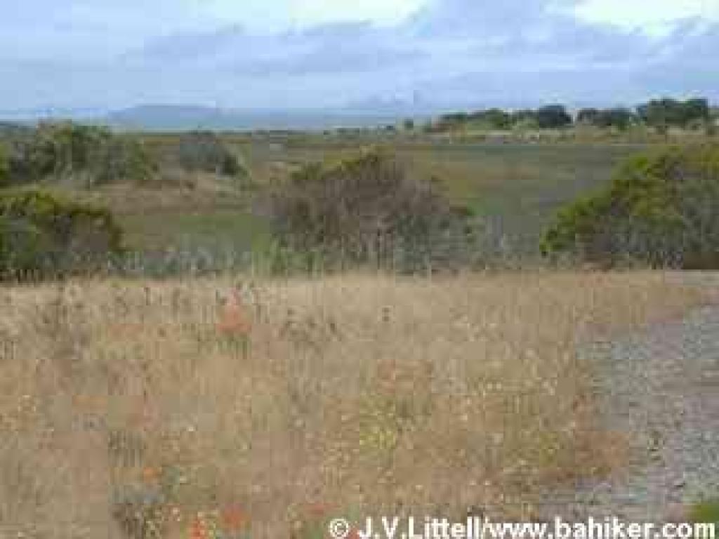 View from Bay Trail