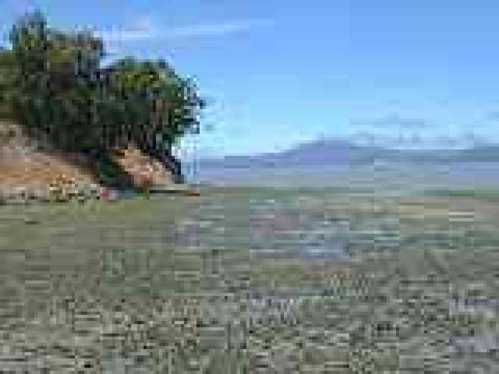 Looking west from the pier