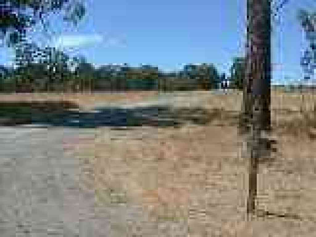 Junction with Cook's Point Trail