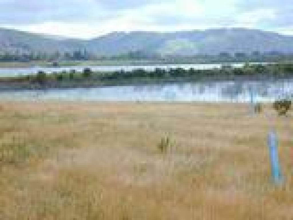 Quarry Lakes