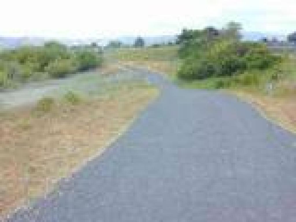 Wood Duck Trail