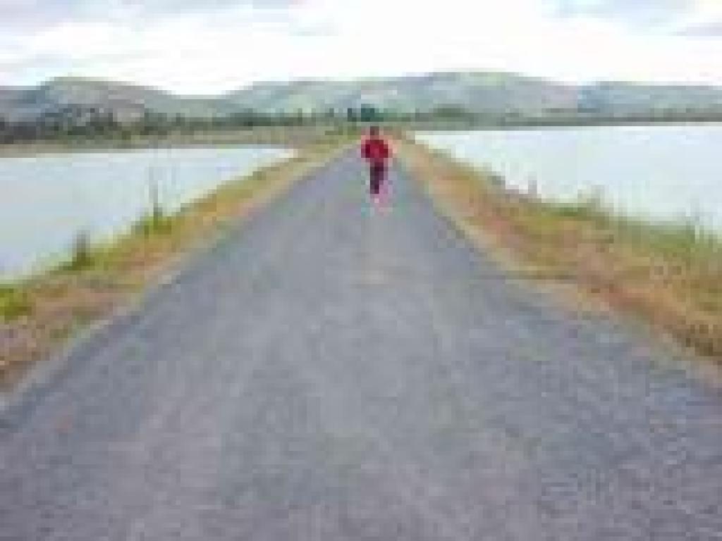 Old Creek Trail