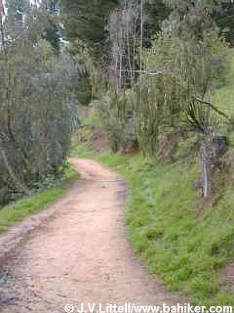West Ridge Trail