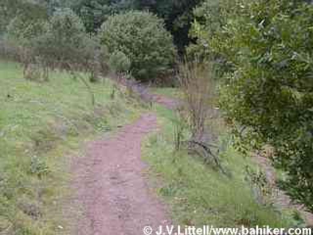 Downhill on Tres Sendas