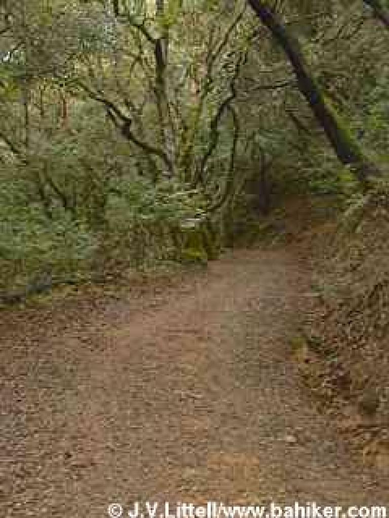 Uphill on Prince Road