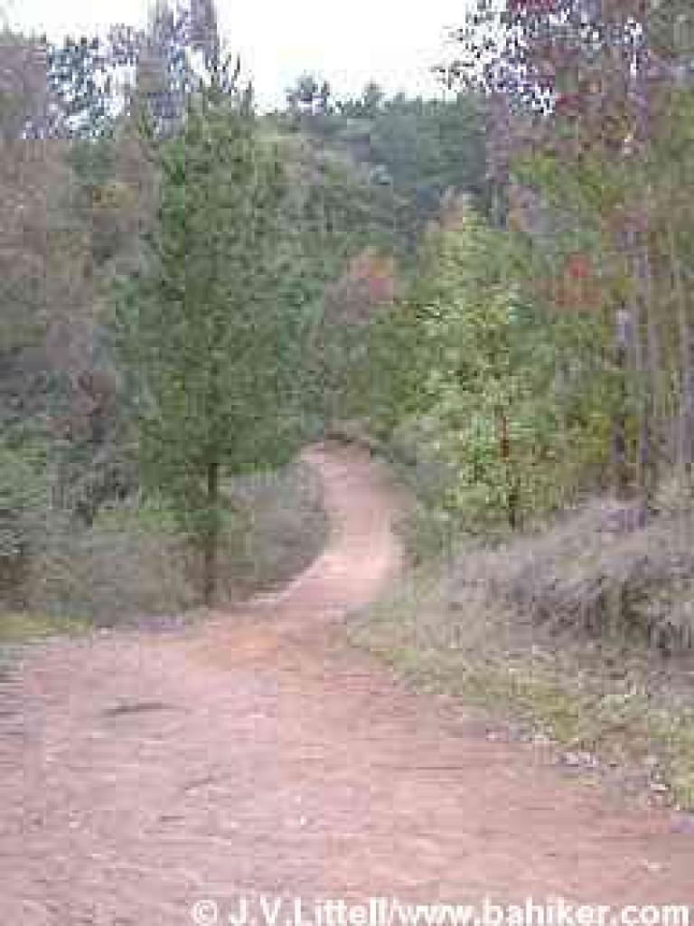 Phillips Loop Trail