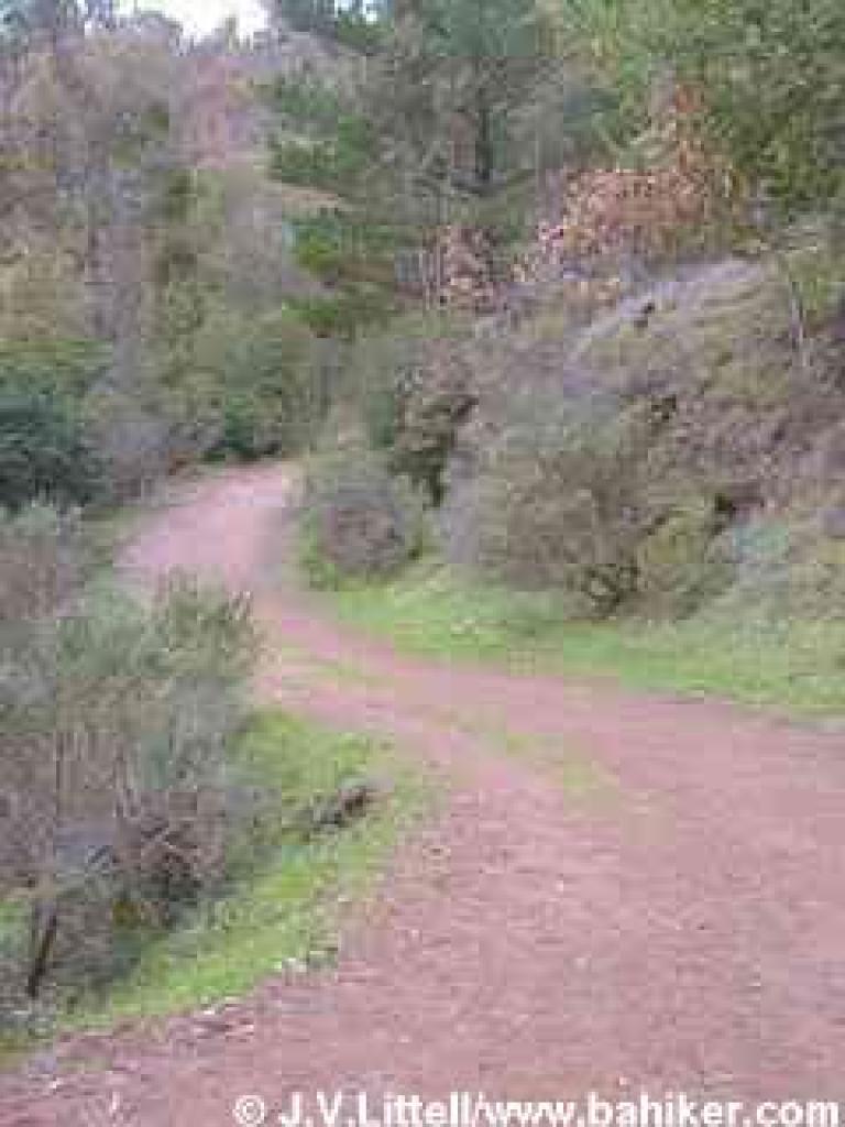 Winding through chaparral