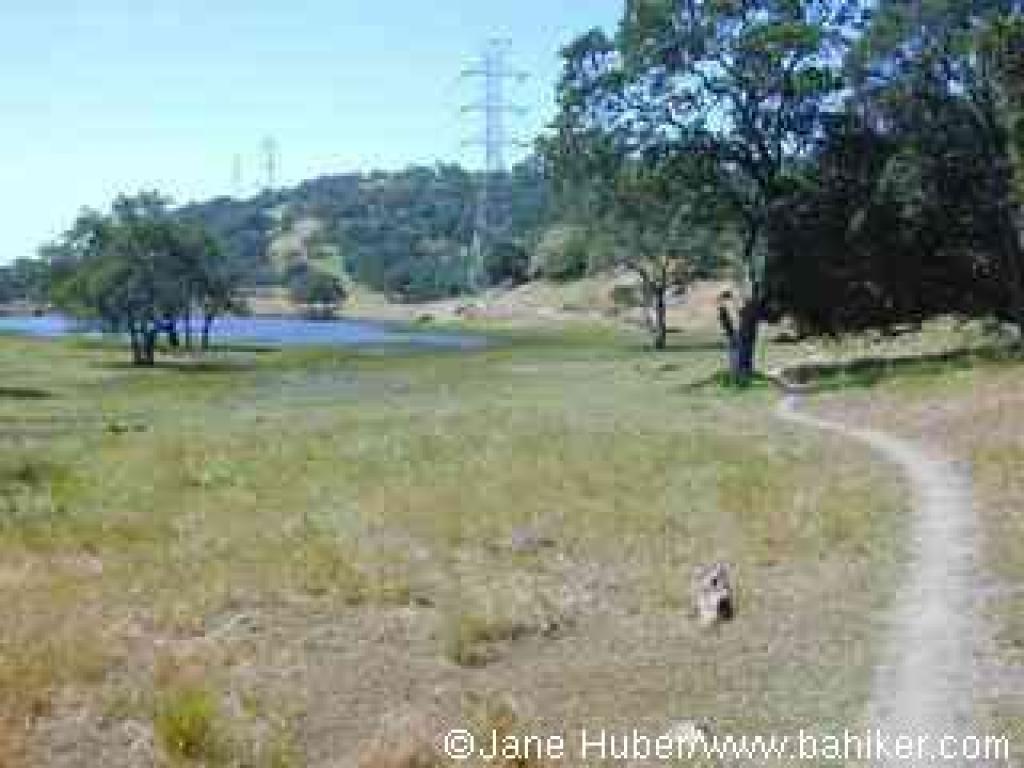 Rock Gardens Trail