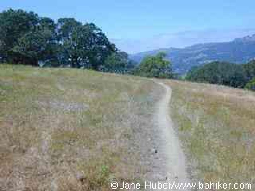 Arch Trail