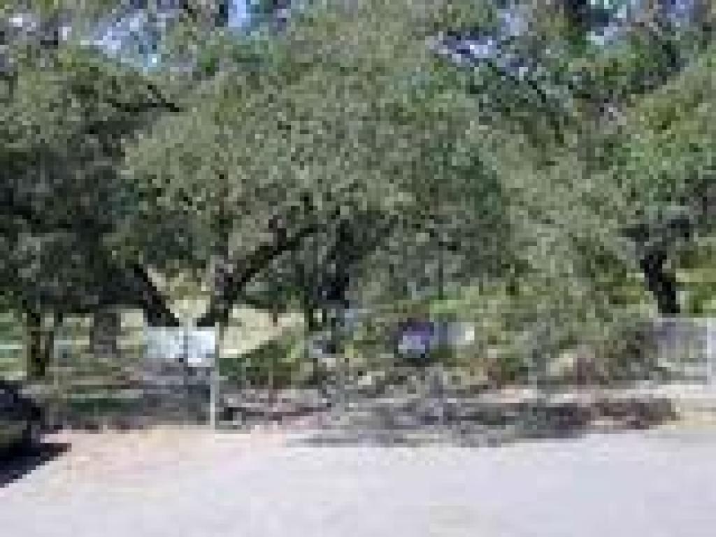 Entrance gate