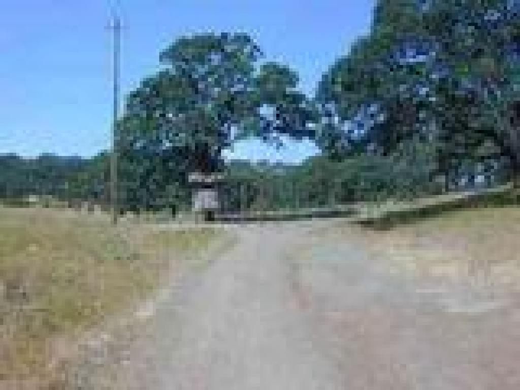 Junction