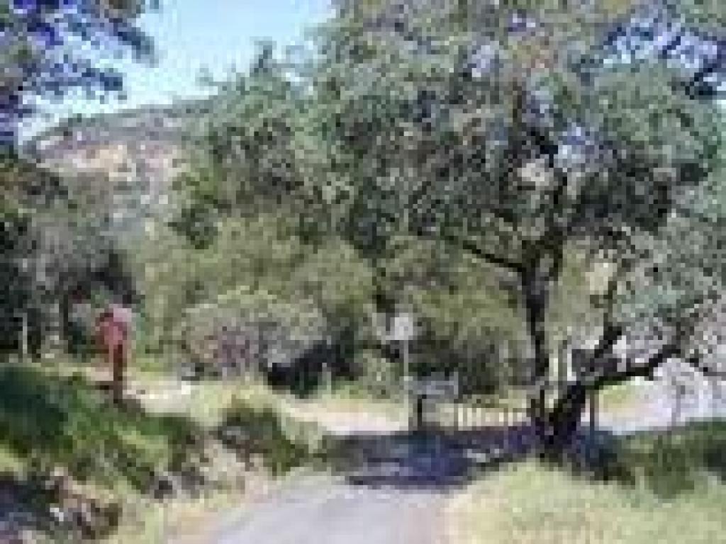 Gate and junction