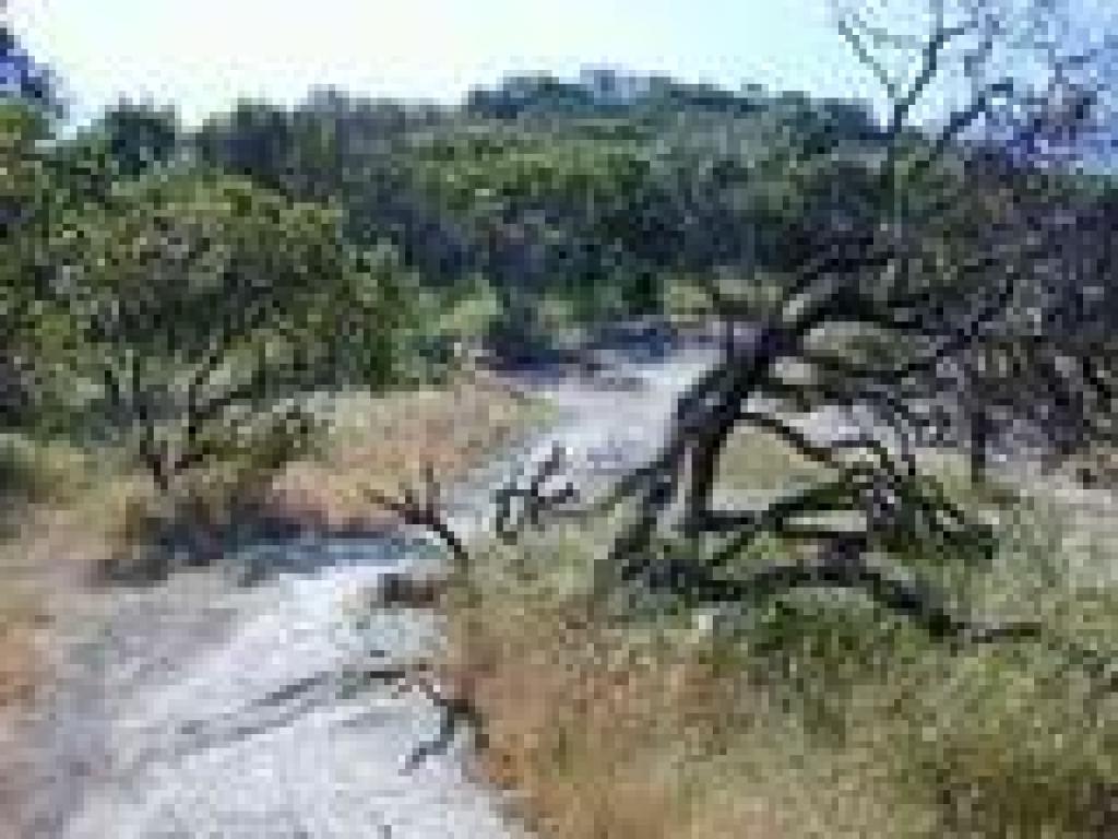 Cave Trail