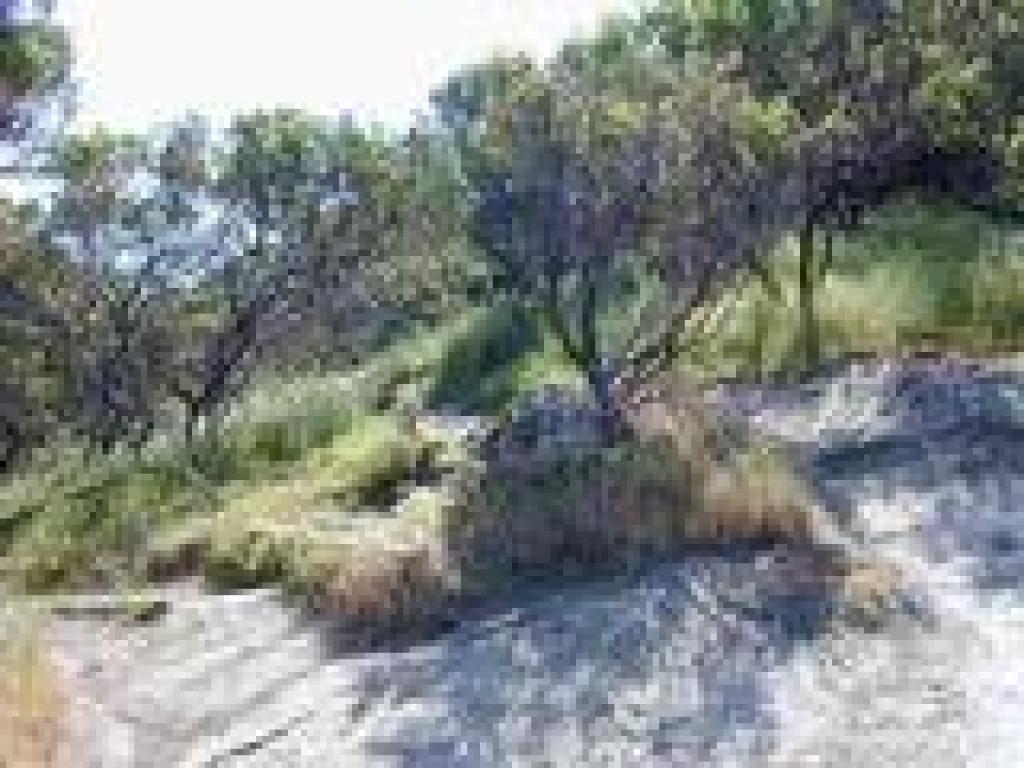 The rocky trail