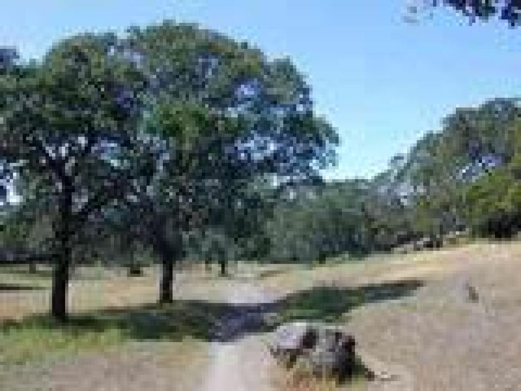 Rock Gardens Trail