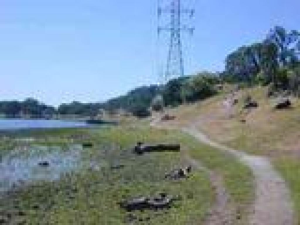 Along the lake
