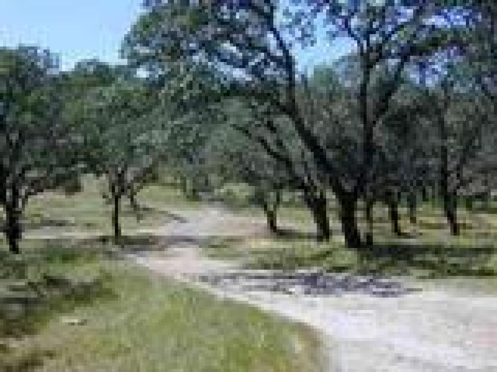 A signed junction in sight