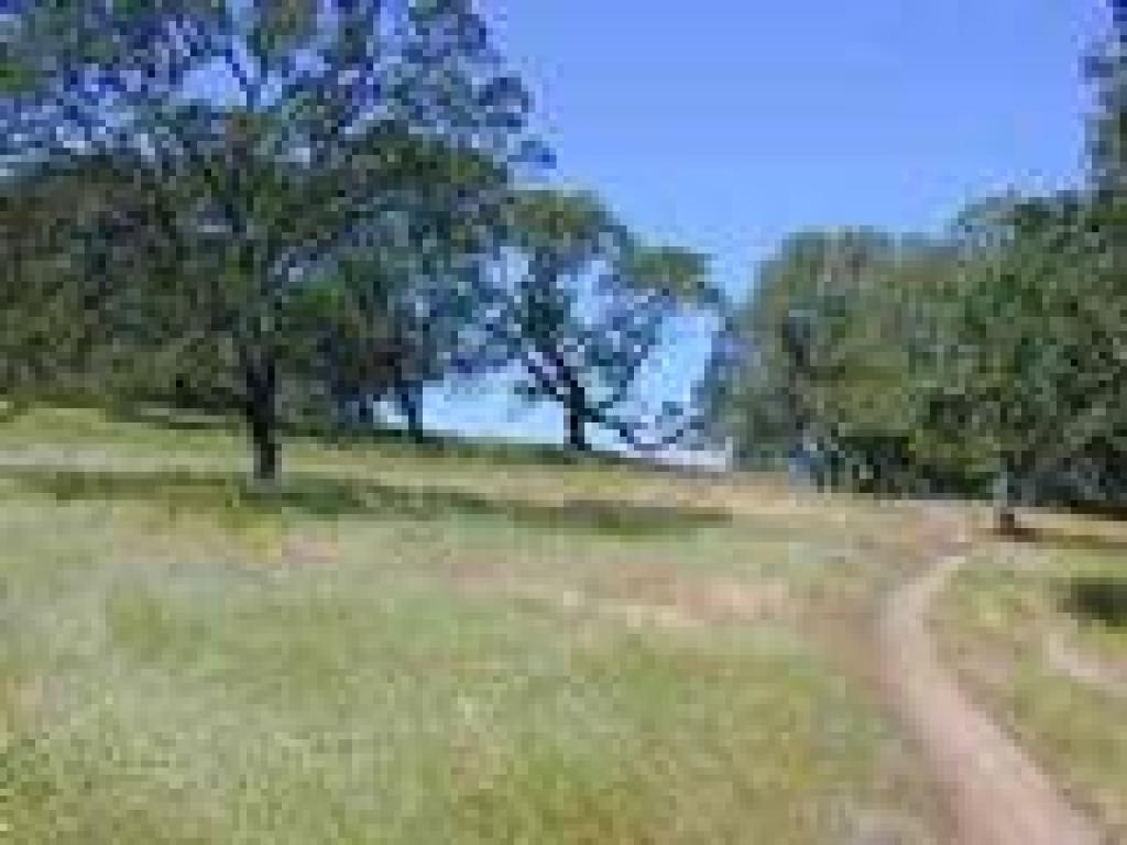 Through grassland