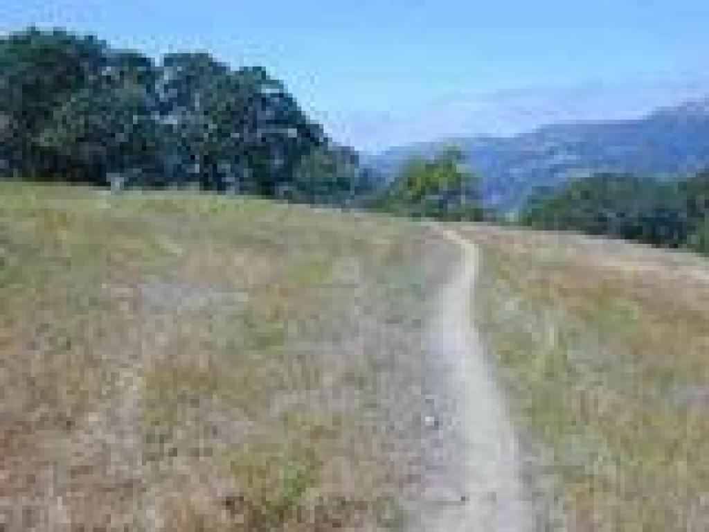 Arch Trail