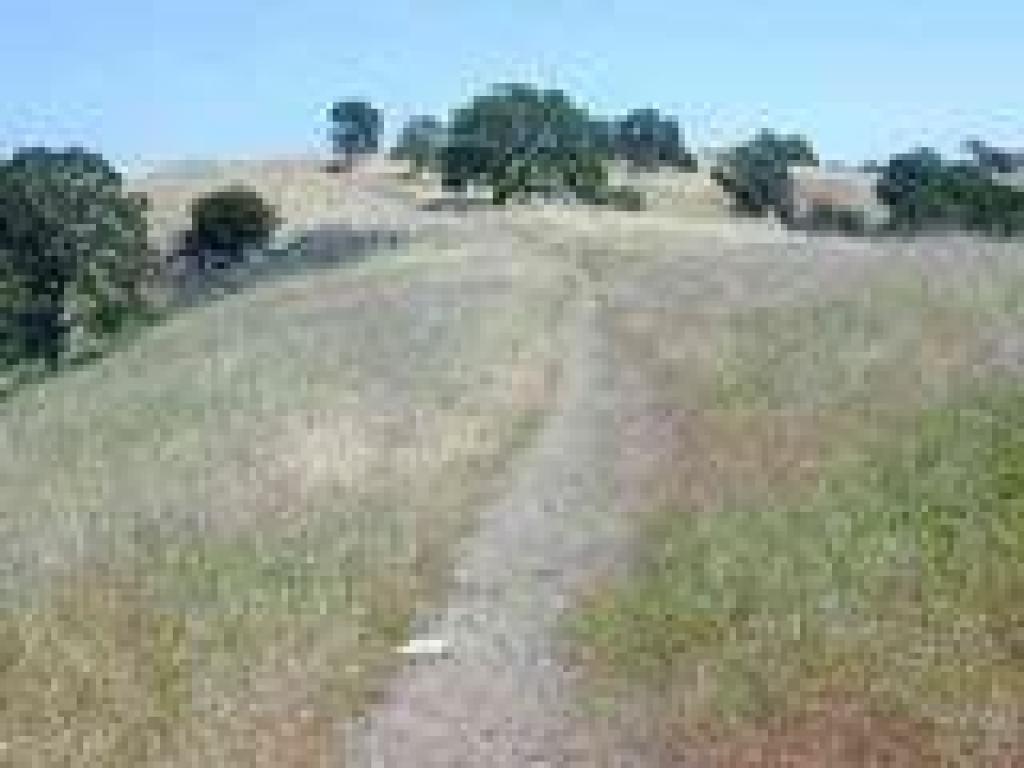 Pretty grassland plateau