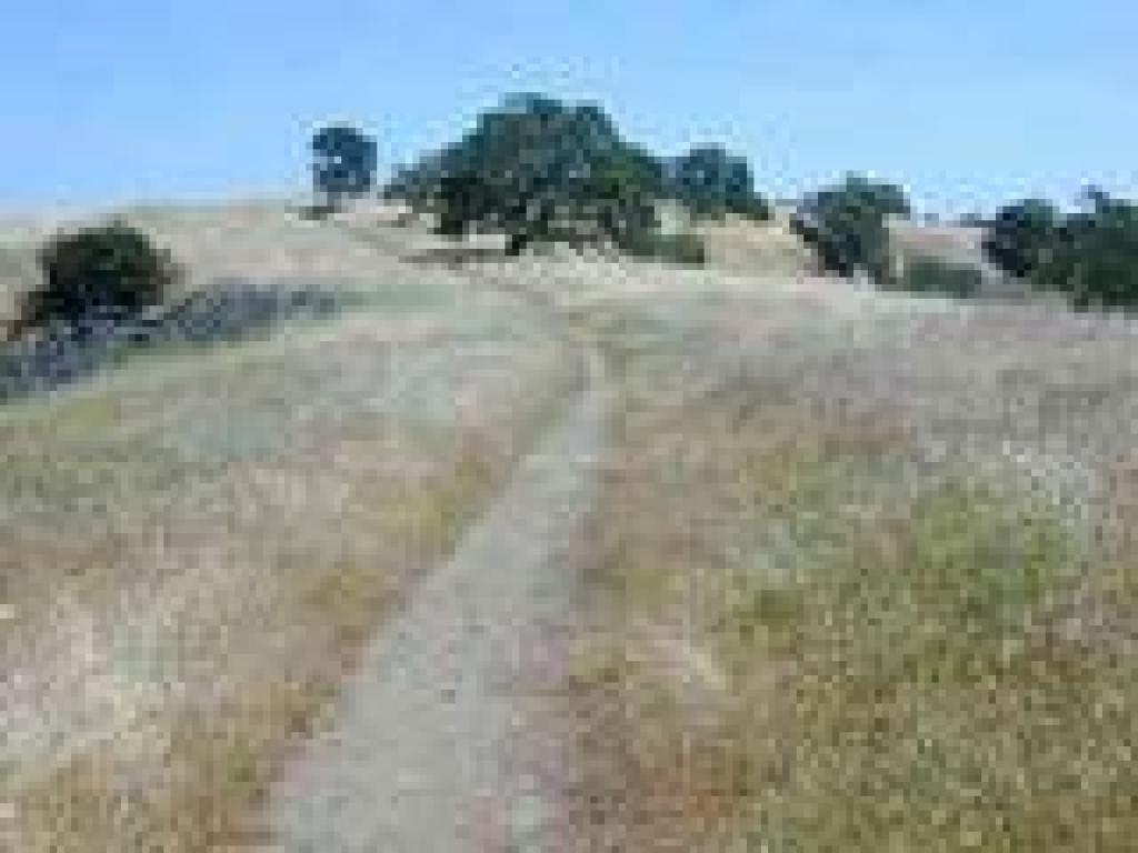 Rockville Hills