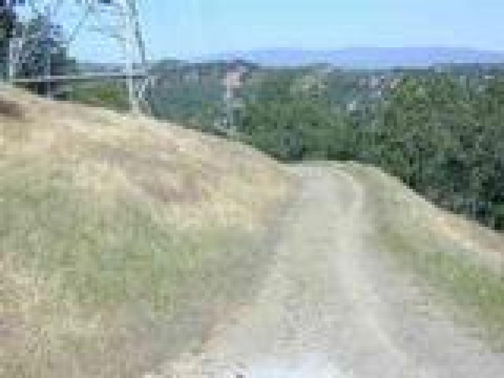 Fire road