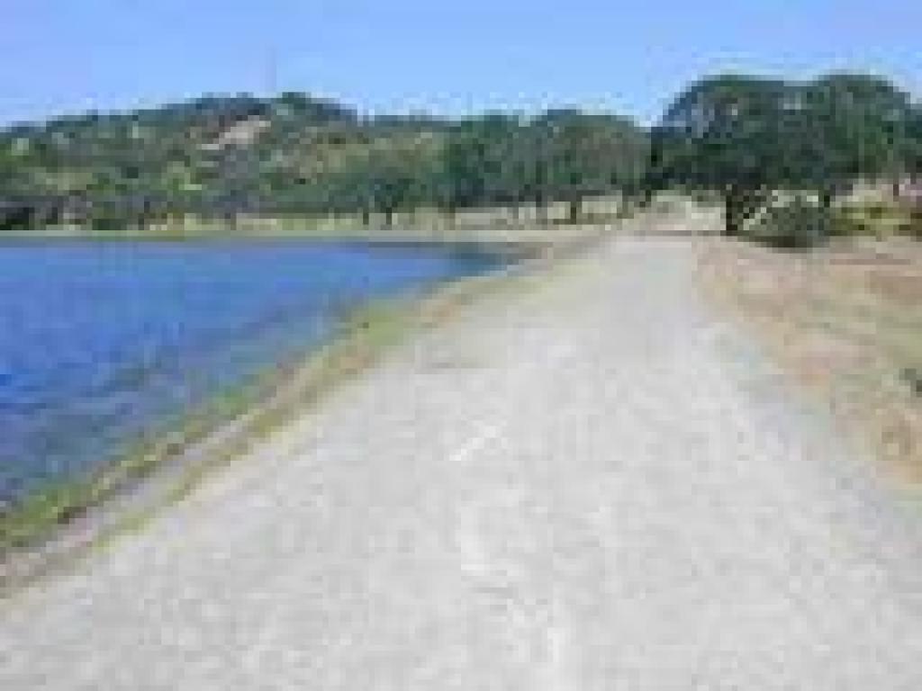 Along the lake