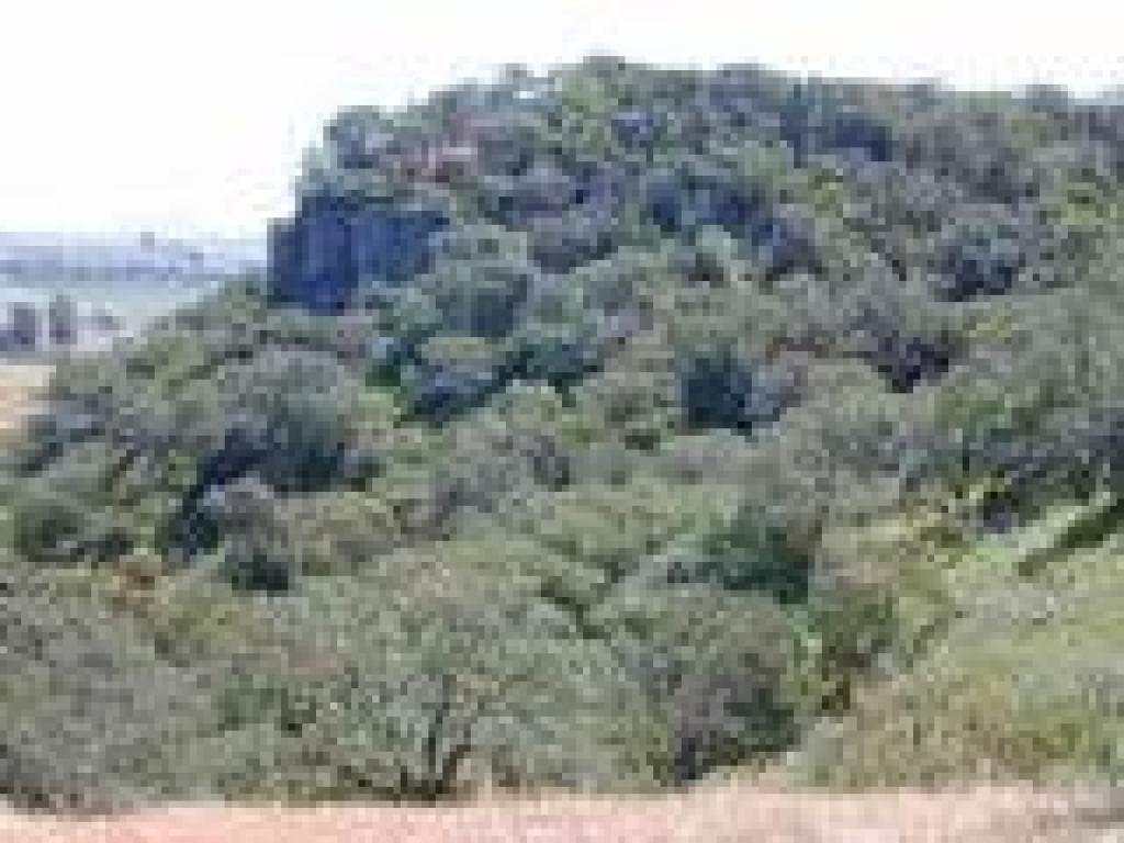 Rock outcrop