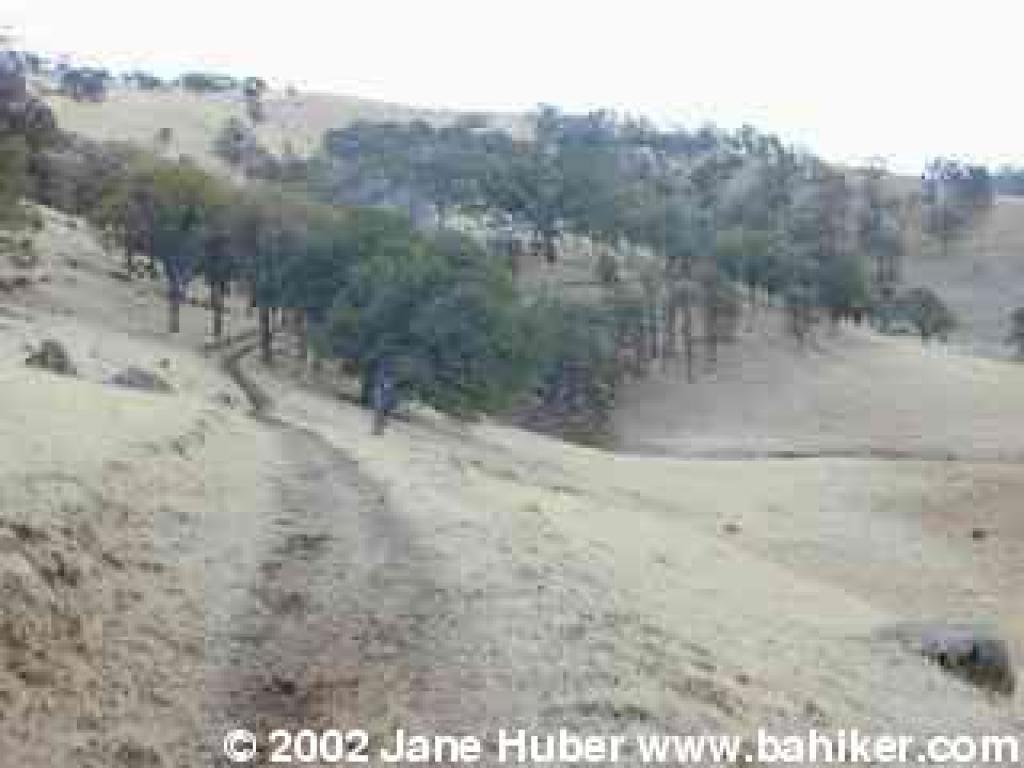Hardy Canyon Trail