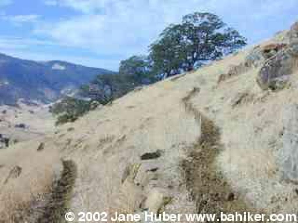 Hardy Canyon Trail