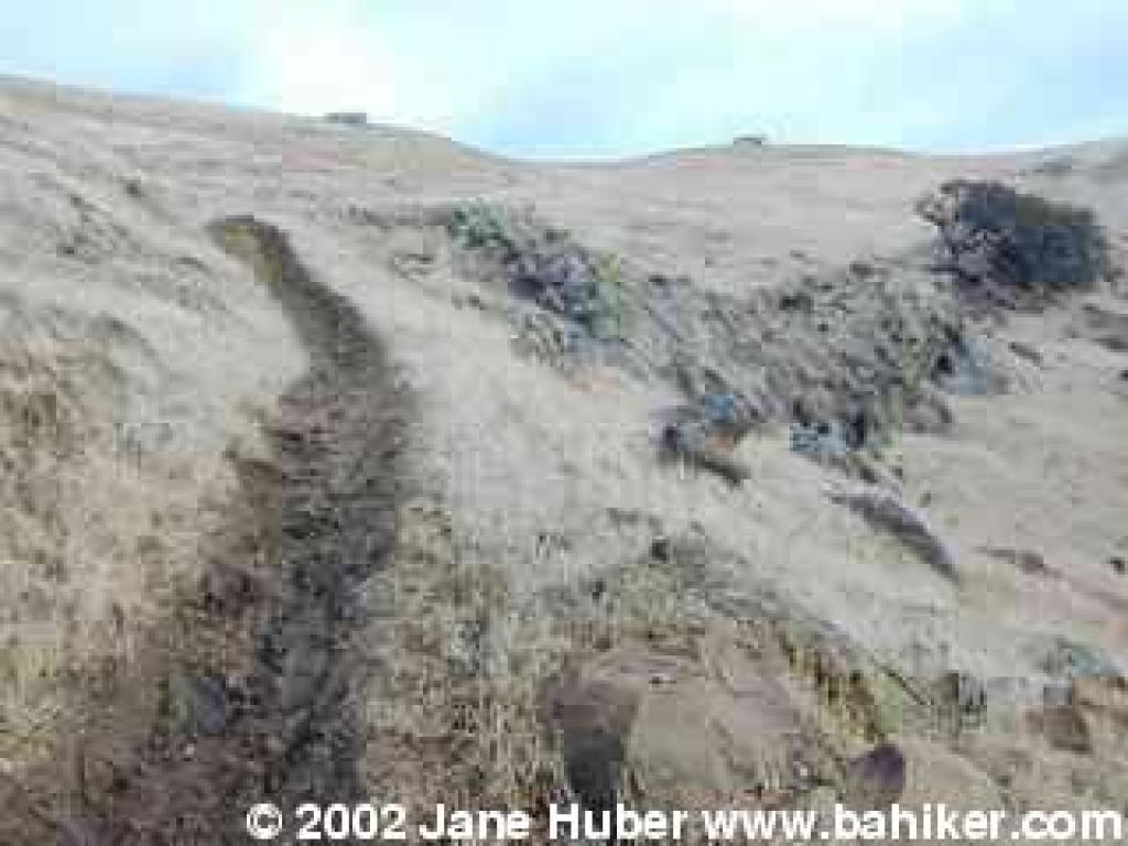 Hardy Canyon Trail