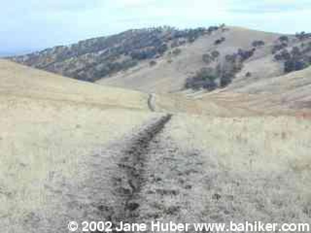 Hardy Canyon Trail
