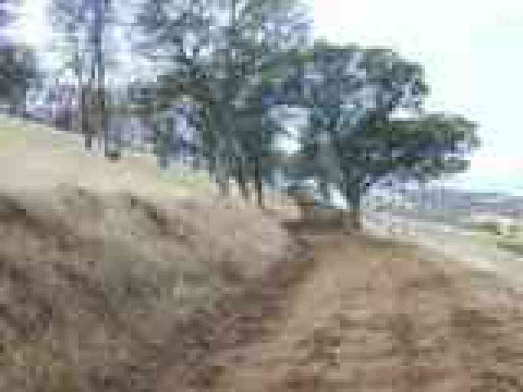Miwok Trail