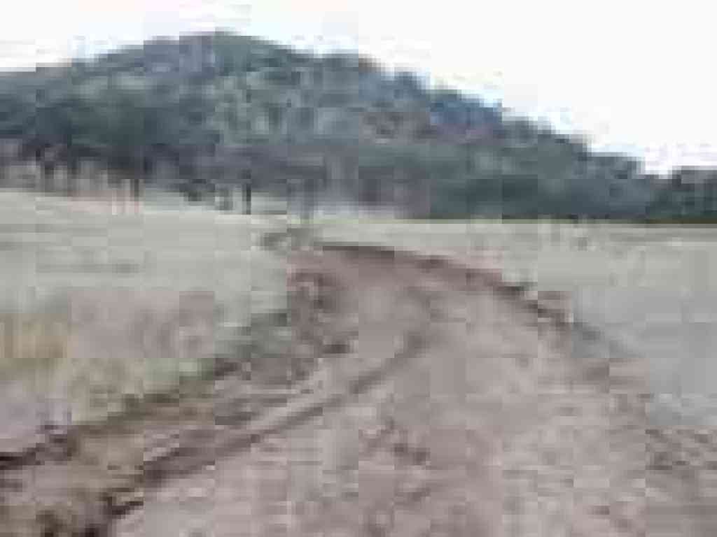 Miwok Trail