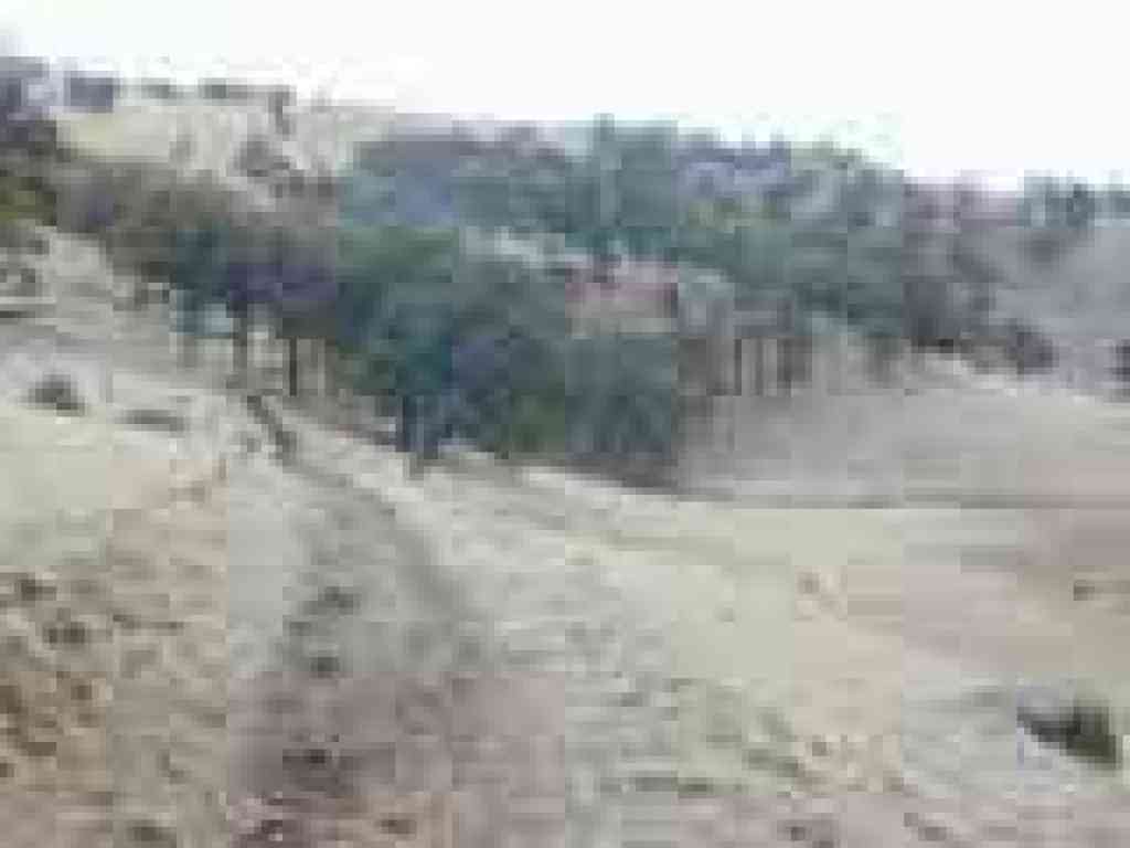 Hardy Canyon Trail