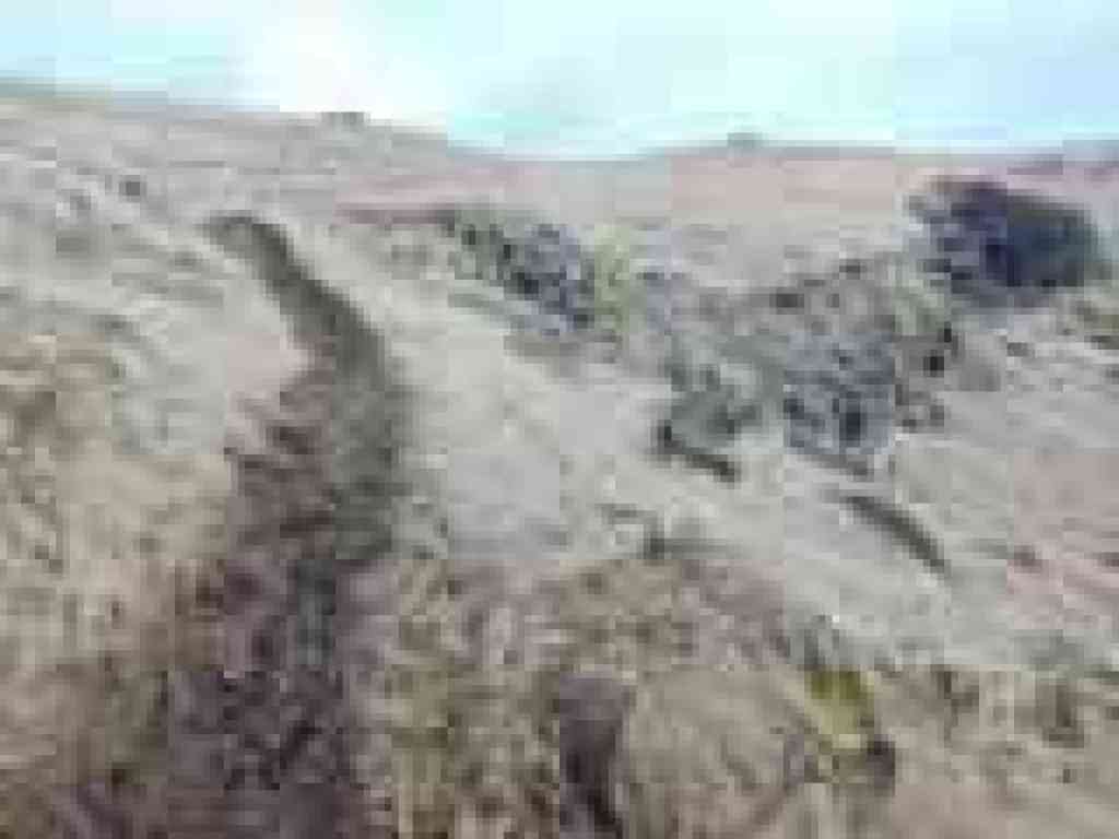 Grassland