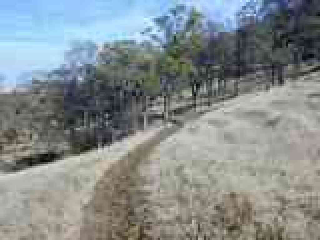Hardy Canyon Trail