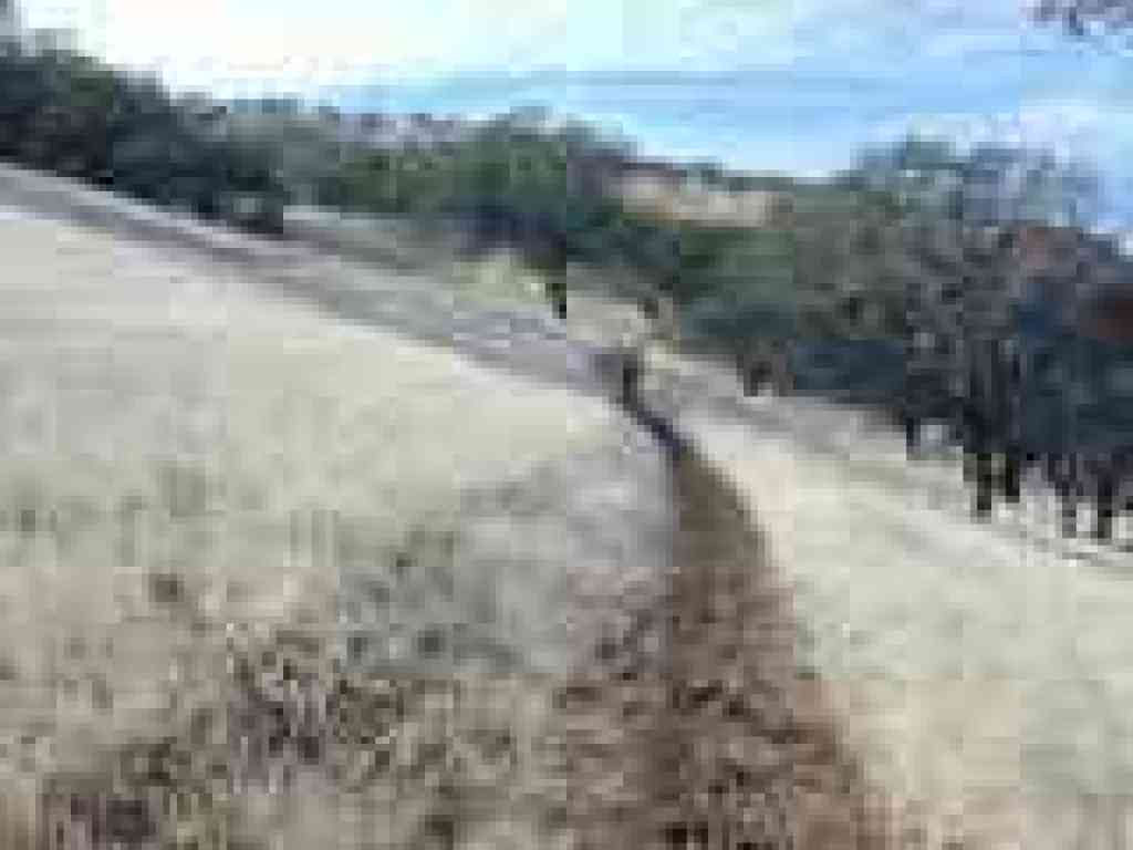 Across a hillside