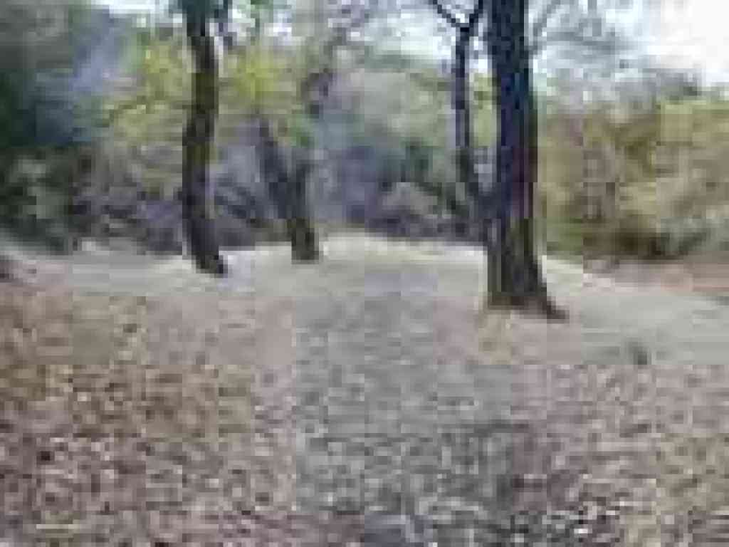 Along Marsh Creek