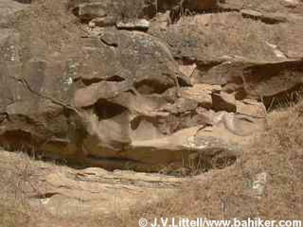 Rock formation at Round Valley