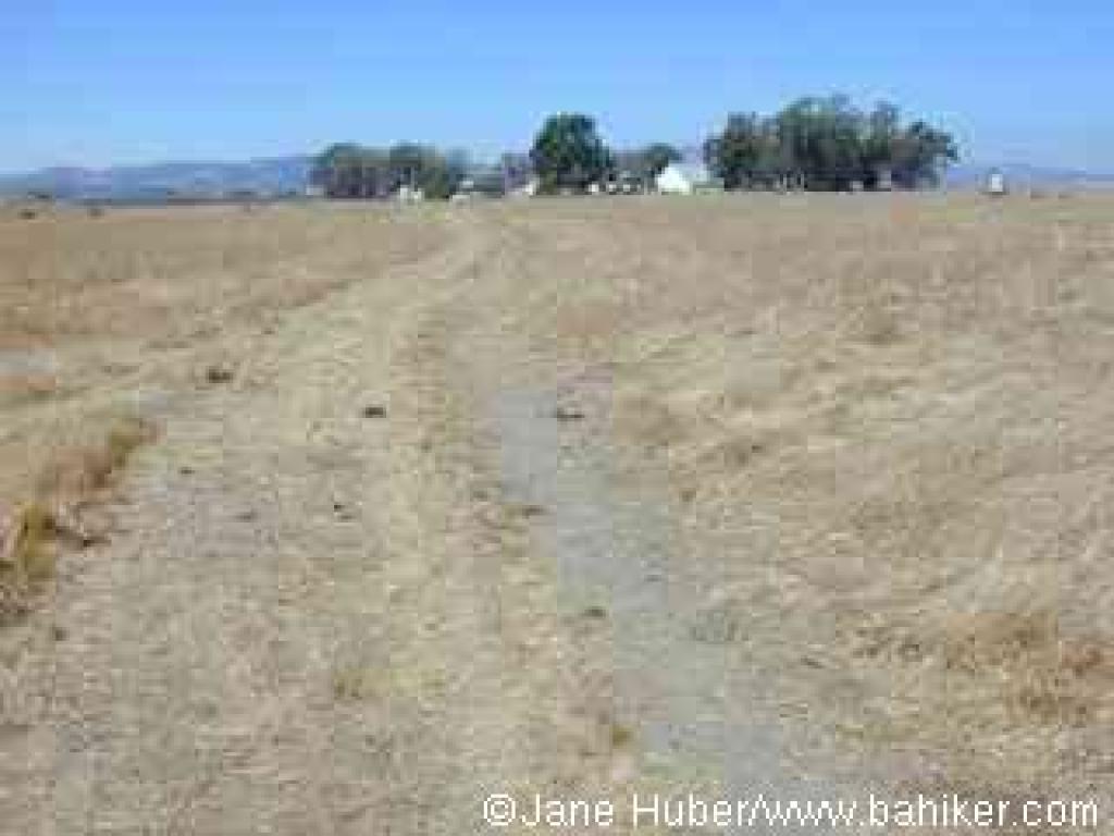 Returning to the ranch area