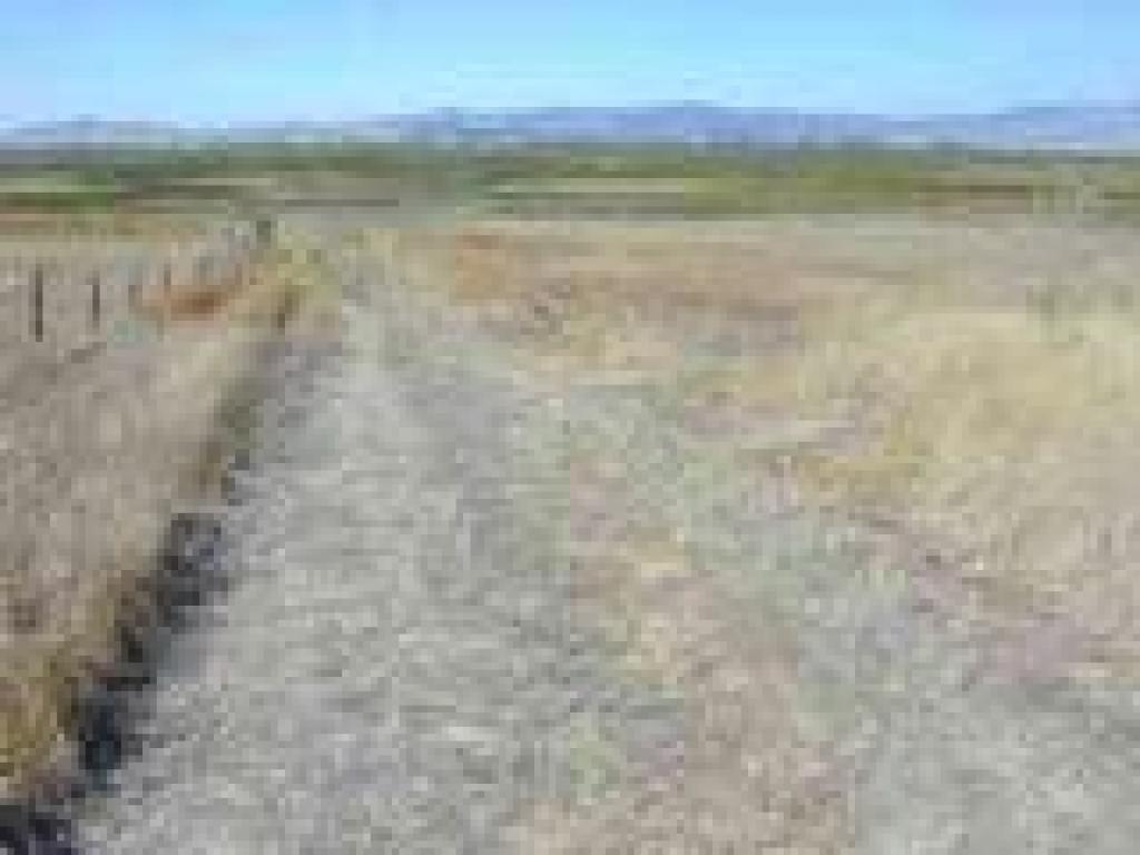 Path