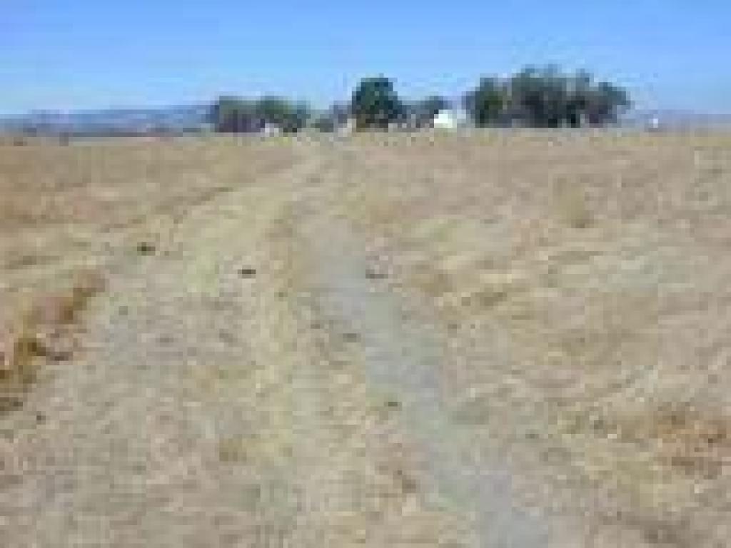 Returning toward the ranch